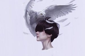 Udseendet bedrager ikke, det gør høje forventninger