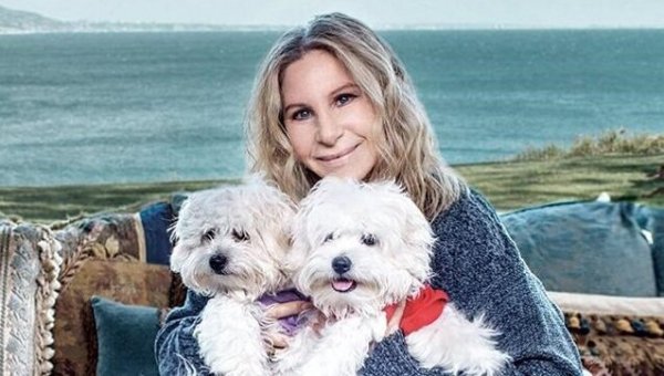 Barbara Streisand valgte at sørge over et kæledyr ved at skabe en klon