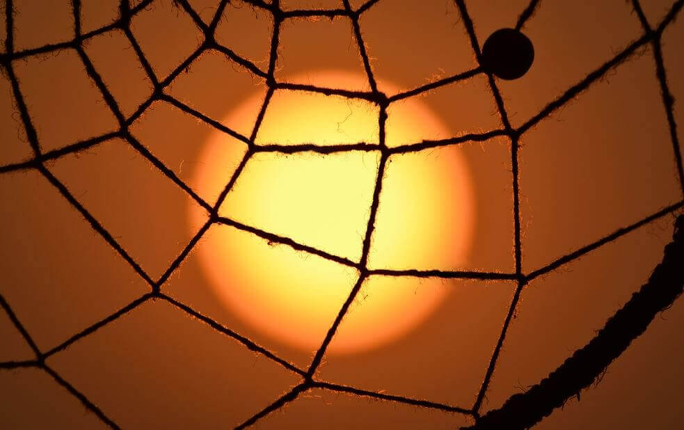 Sol bag net