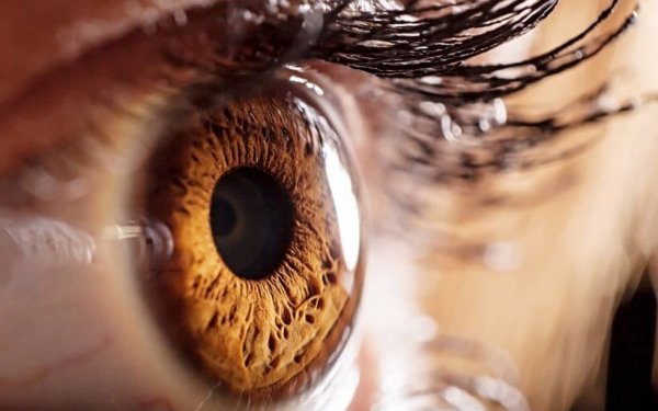 Pupil afslører følelser i øjne