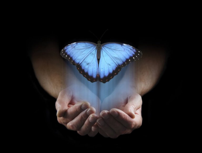 Blå sommerfugl i hænder symboliserer transformation