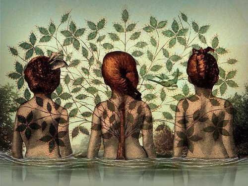 Tre kvinder i vand med træ omkring sig