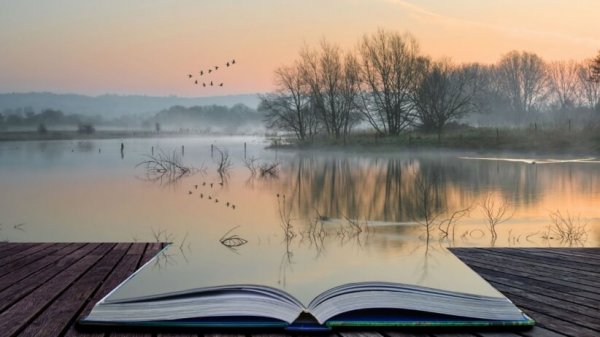 Åben bog foran sø illustrerer en magt bag ord