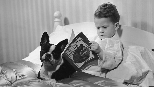 Barn i seng med hund og bog nyder at læse før sengetid