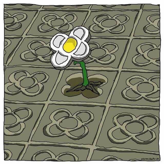 Blomst vokser op igennem asfalt