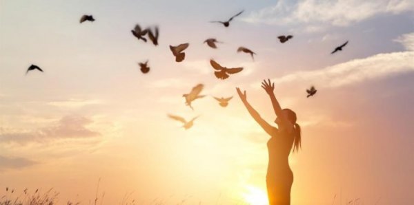 fugle flyver over pige