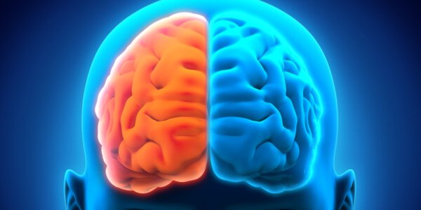 De to hjernehalvkugler kan lide under neurologiske lidelser