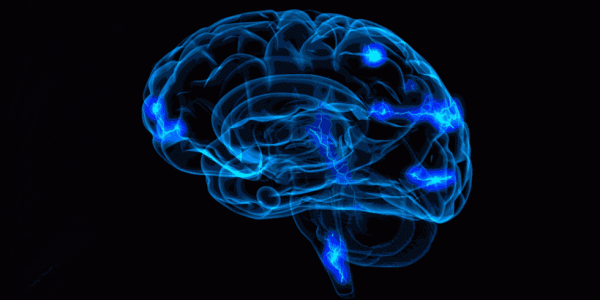 Blå hjerne illustrerer babyens sind