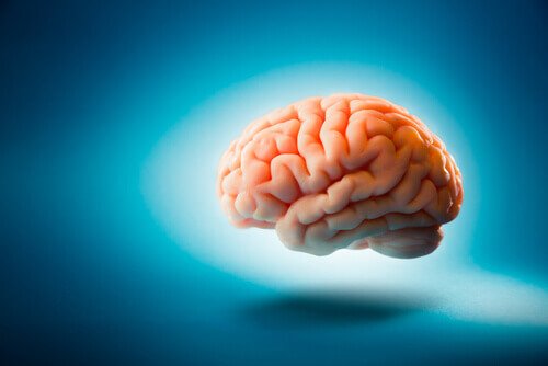 Svævende hjerne kan undersøges for neurologiske lidelser