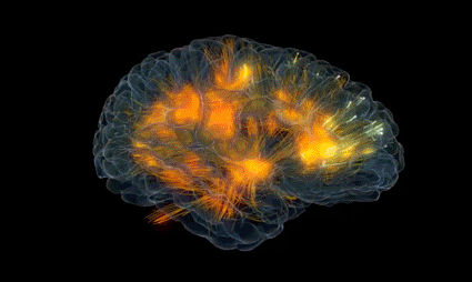 Hjerne med neuronforbindelser illustreret med lys