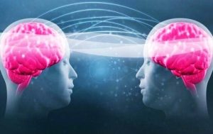 Tryptofan og serotonin: dit velvære afhænger af dem