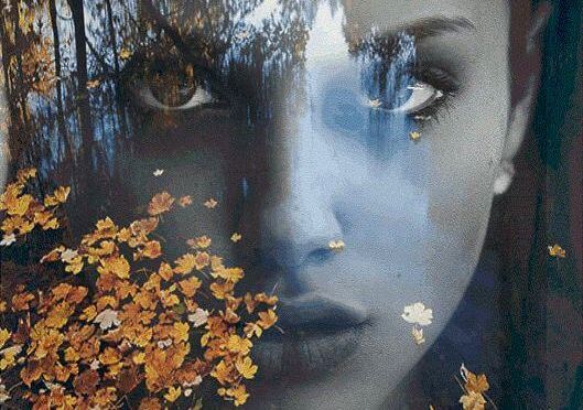 Kvindes silhuet med blade foran