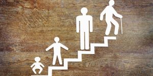 De seks vigtigste teorier om udvikling