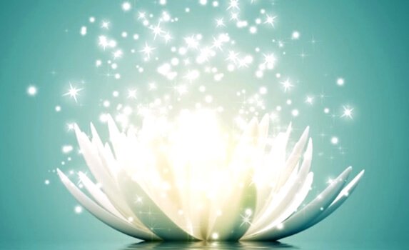 Lotus blomst udsender glimmer for at genvinde positiv energi