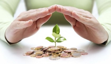 Person beskytter plantespire, der vokser ud af mønter, som symbol for ens økonomiske situation