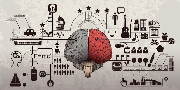 Hjerne med forskellige genstande symboliserer psykologi i reklamer