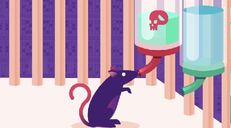 En rotte i eksperiment med stoffer