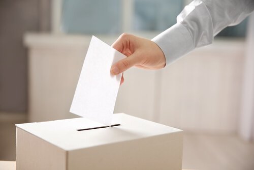 Hvilke faktorer påvirker, hvordan vi stemmer?