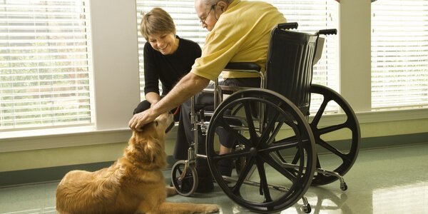 Mand i kørestol klapper sin terapihund