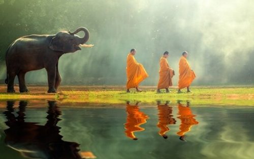 Elefant følger buddhistiske munke. 8 måder at gøre en ende på lidelser