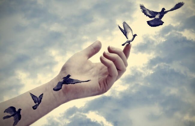 Fugle flyver fra hånd foran himmel