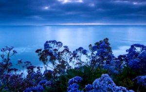 Den stress lettende farve: blå