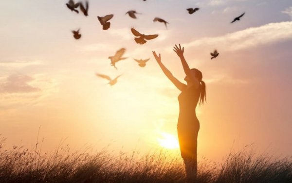 giv slip på bitterhed og beklagelser