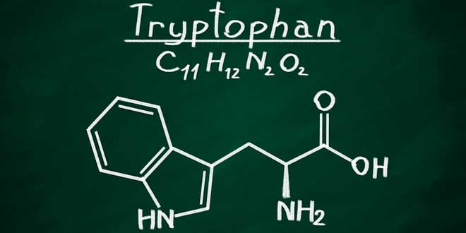 Kemisk struktur: tryptofan