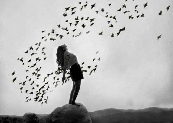 Kvinde står på en stor sten omringet af fugle hun acceptere at være midtpunktet af fuglenes opmærksom
