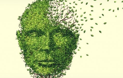 ansigt lavet af blade