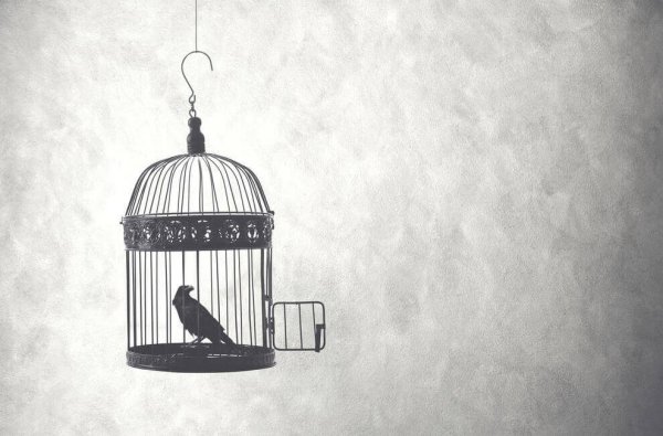 Fugl i bur symboliserer tanken bag citater af Alfonsina Storni