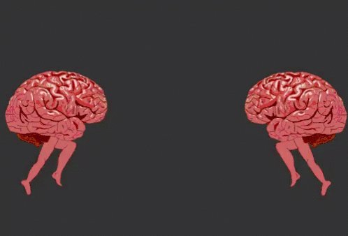to hjerner stresser hinanden