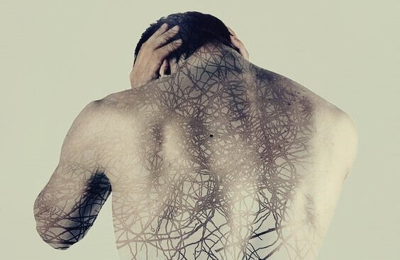 nervesystem i en mand