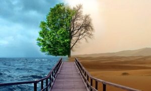 4 nøgler fra gestalt-terapi til at behandle depression