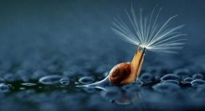 De mange fordele ved fem minutters stilhed for din hjerne