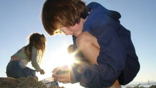 Børn der leger i sandet