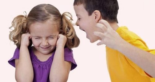 Dreng råber af søster som eksempel på chikane i familien