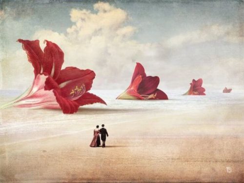 Par går i mellem store blomster og viser den romantiske kærlighed