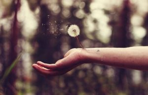 Det er hårdt at hele såret efter forræderi