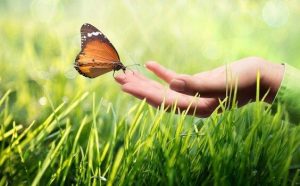 Kinæstetisk kommunikation: Hvorfor er det så vigtigt?