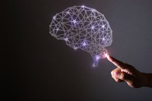 Kunstnerisk diagram af hjernen - videnskaben bag lykke