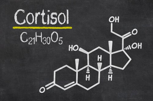 Kortisol