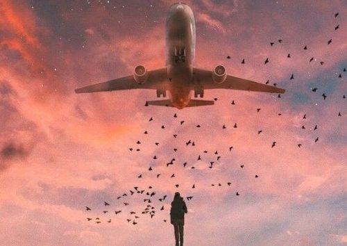 Fly flyver på himlen