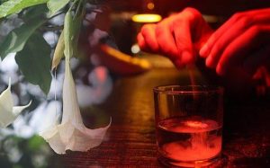 Scopolamin: Stoffet, der nulstiller din vilje