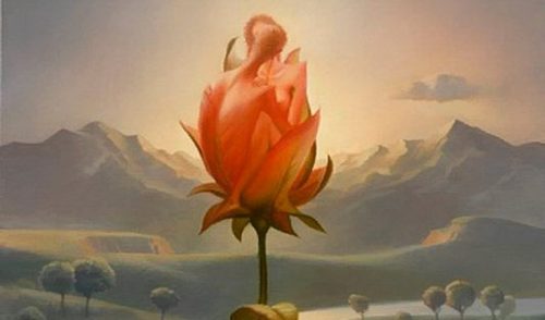 En rose med form som et par