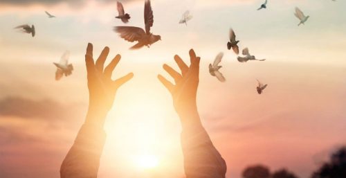 Hænder slipper fugle fri