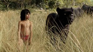 "Vilde børn" og deres adfærd i samfundet