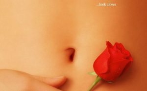 American Beauty - Alt er ikke, som det ser ud