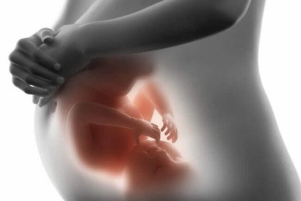 baby i moderens mave, der repræsenterer prænatal psykologi