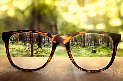 Briller viser skov klar i stedet for sløret